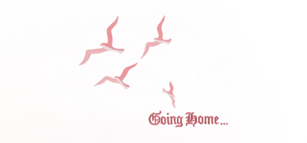 Going Home NEW Birds Pink White Faux